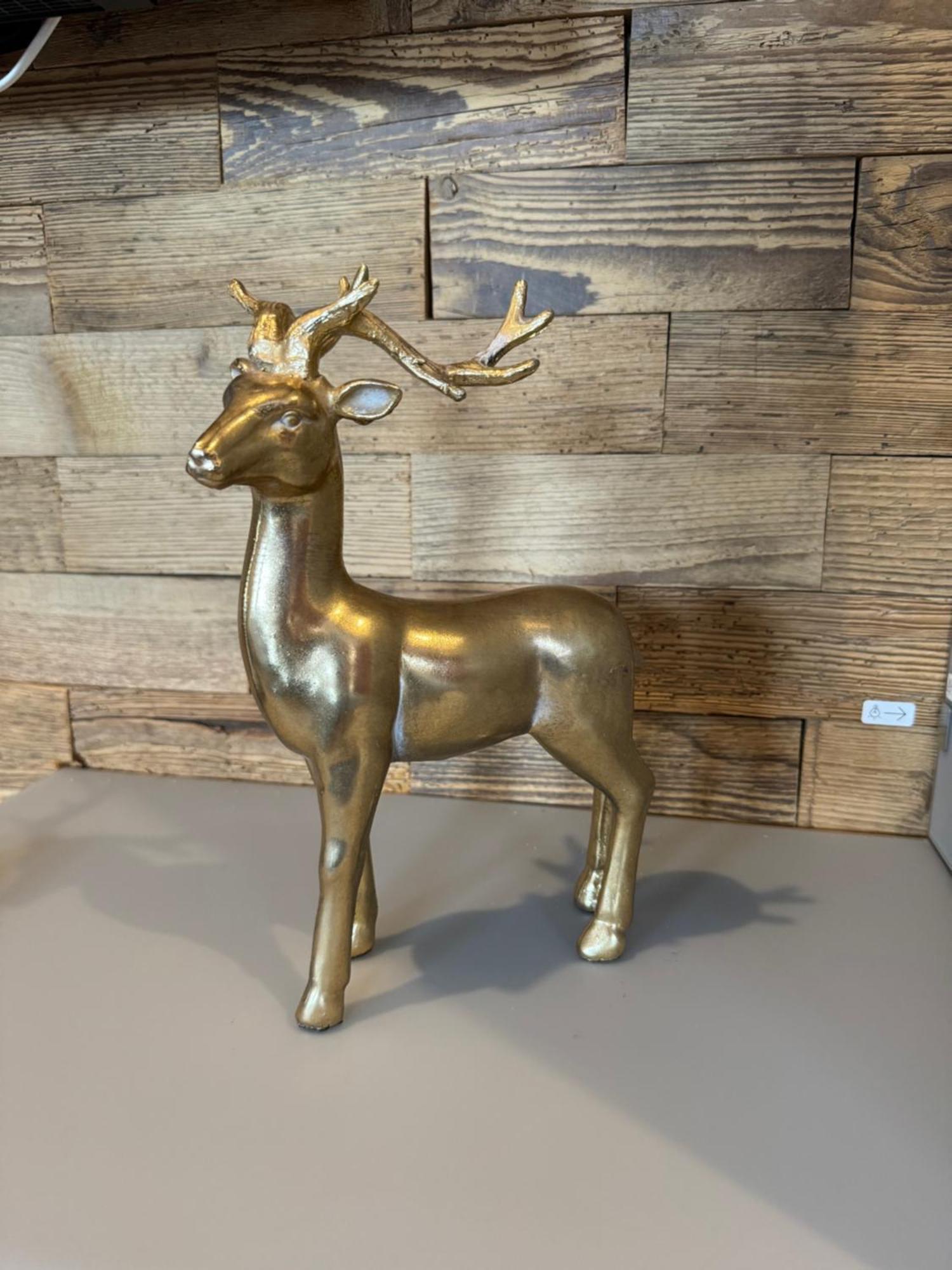 #stadtspeicher - Goldener Stern In Der Altstadt Apartment